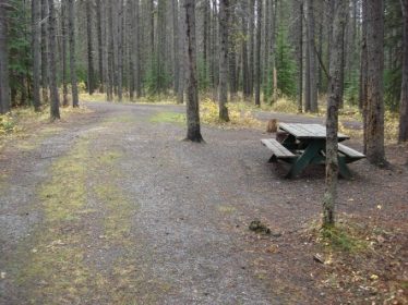 Protection Mountain Campground - AlbertaWow Campgrounds and Hikes