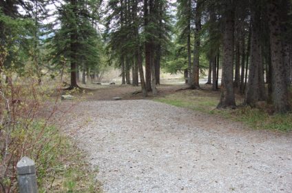 Bow river clearance campground