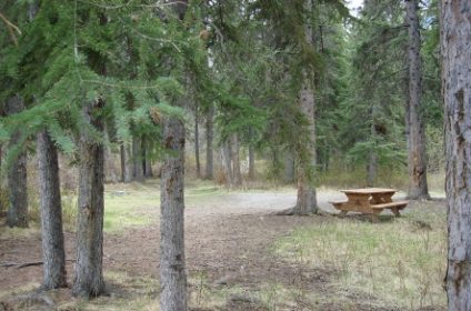 Bow River Campground Alberta - AlbertaWow Campgrounds and Hikes