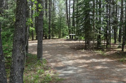 Brazeau Reservoir West Canal Campground - AlbertaWow Campgrounds and Hikes