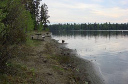 Crimson Lake Campground - AlbertaWow Campgrounds and Hikes