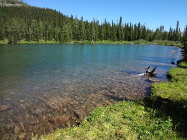 O'Brien Lake Hike - AlbertaWow Campgrounds and Hikes