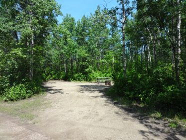 Jarvis Bay Campground - AlbertaWow Campgrounds and Hikes