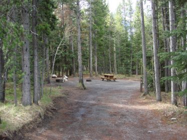 Mount Kidd Campground - AlbertaWow Campgrounds and Hikes