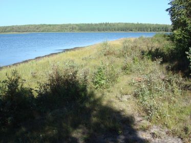 North Buck Lake Campground - AlbertaWow Campgrounds and Hikes