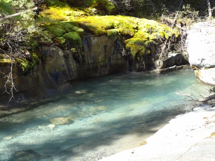 Owen Creek Hike - AlbertaWow Campgrounds and Hikes