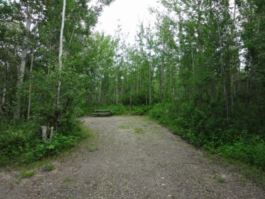 Pembina River Campground - AlbertaWow Campgrounds and Hikes