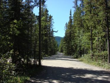 Sandy McNabb Campground - AlbertaWow Campgrounds and Hikes