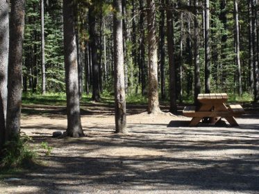 Sandy McNabb Campground - AlbertaWow Campgrounds and Hikes