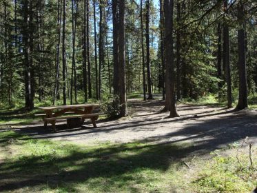 Sandy Mcnabb Campground - Albertawow Campgrounds And Hikes