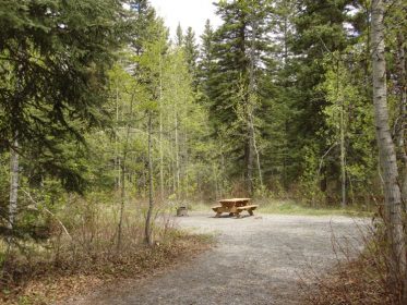 Three Sisters Campground - AlbertaWow Campgrounds and Hikes