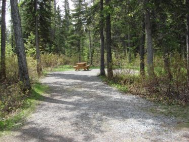 Willow Rock Campground - AlbertaWow Campgrounds and Hikes