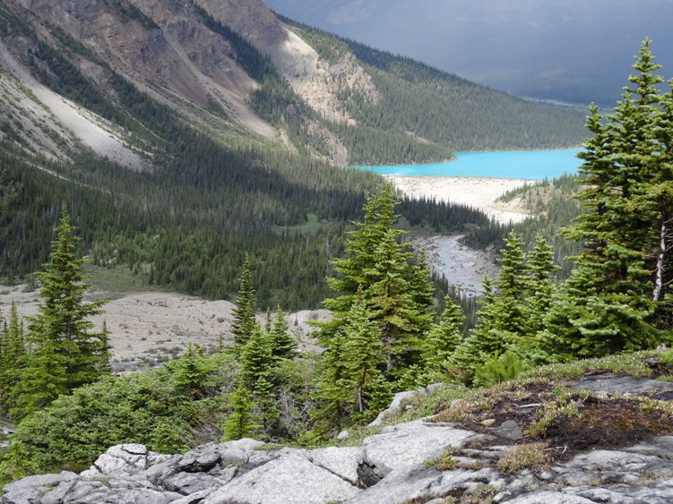 Iceberg Lake Scramble - AlbertaWow Campgrounds and Hikes