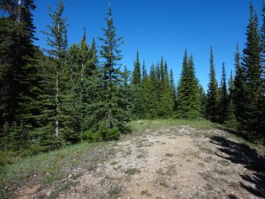 Mount Sarbach Lookout - AlbertaWow Campgrounds and Hikes